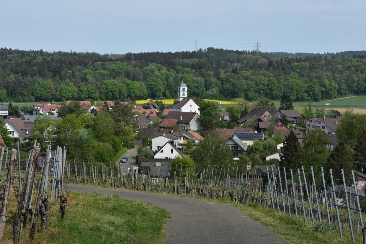 Roger_frauenfelder_andelfingen_kirche